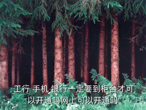  工行 手機 銀行一定要到柜臺才可以開通嗎網(wǎng)上可以開通嗎