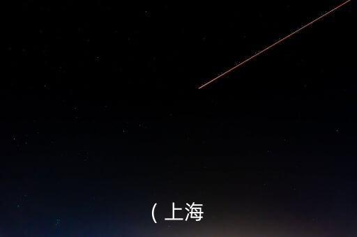 上海日郵汽車運輸有限公司