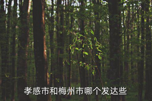 天津市龍祥建材建設工程有限公司