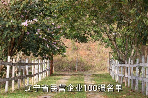 遼寧省民營企業(yè)100強(qiáng)名單
