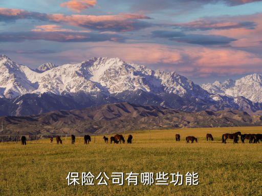  保險公司有哪些功能