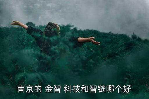 南京的 金智 科技和智鏈哪個好