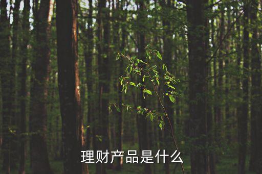  理財(cái)產(chǎn)品是什么