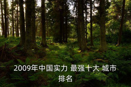 2009年中國實力 最強十大 城市排名