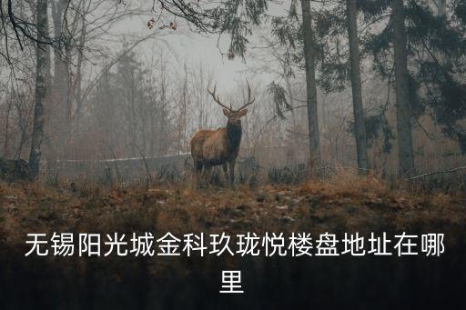  無錫陽光城金科玖瓏悅樓盤地址在哪里