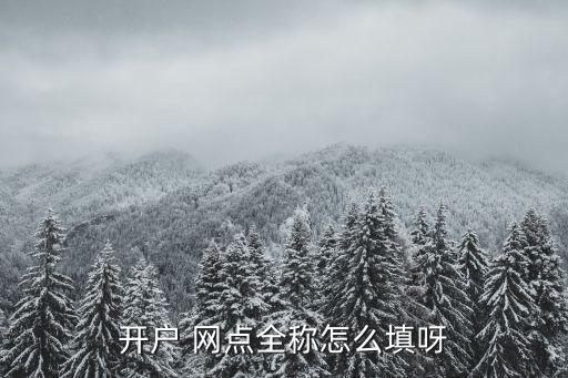 開(kāi)戶 網(wǎng)點(diǎn)全稱怎么填呀