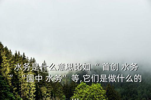  水務是什么意思比如“ 首創(chuàng) 水務”“國中 水務”等,它們是做什么的...