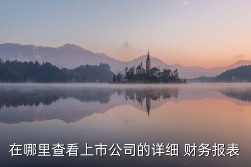 中國衛(wèi)星2013年度財務報告,甲股份有限公司2013年年度財務報告