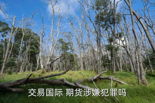 交易國際 期貨涉嫌犯罪嗎