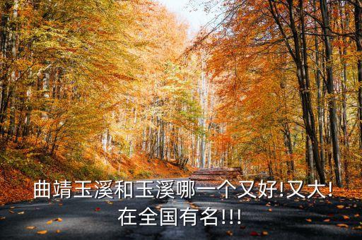  曲靖玉溪和玉溪哪一個(gè)又好!又大!在全國(guó)有名!!!