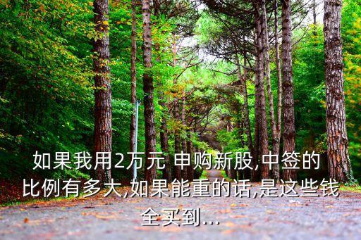 如果我用2萬(wàn)元 申購(gòu)新股,中簽的 比例有多大,如果能重的話,是這些錢全買到...