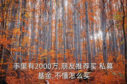 手里有2000萬(wàn),朋友推薦買 私募 基金,不懂怎么買