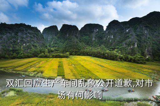 關(guān)于雙匯集團的壞賬損失