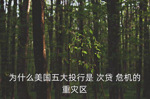 為什么美國五大投行是 次貸 危機的重災區(qū)