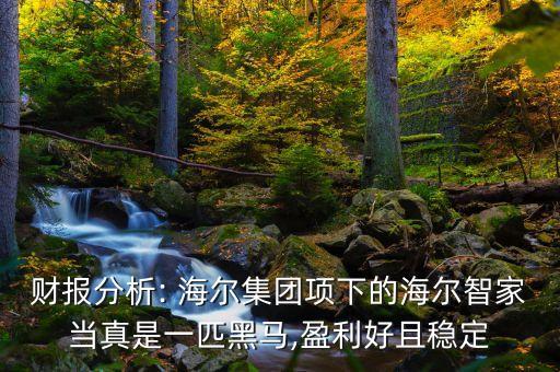 財報分析: 海爾集團項下的海爾智家當真是一匹黑馬,盈利好且穩(wěn)定