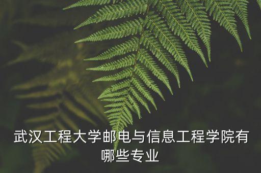  武漢工程大學(xué)郵電與信息工程學(xué)院有哪些專業(yè)