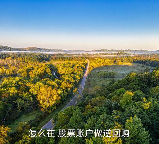 怎么在 股票賬戶做逆回購(gòu)