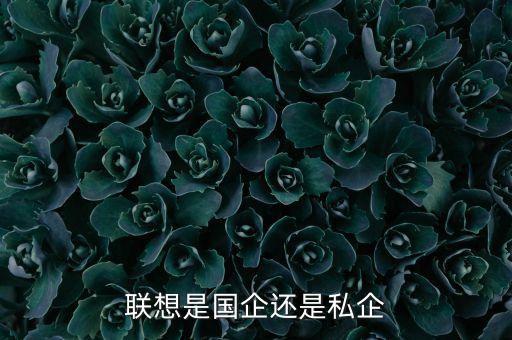 聯(lián)想集團股東