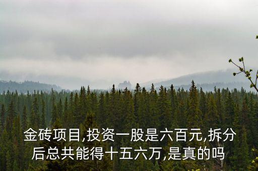  金磚項(xiàng)目,投資一股是六百元,拆分后總共能得十五六萬,是真的嗎