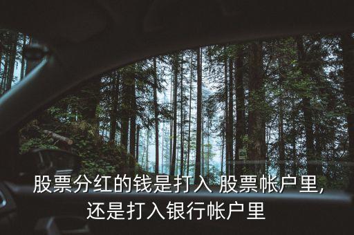 股票紅利可以用借的錢進(jìn)行支付嗎