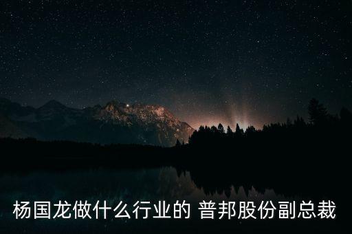 楊國龍做什么行業(yè)的 普邦股份副總裁