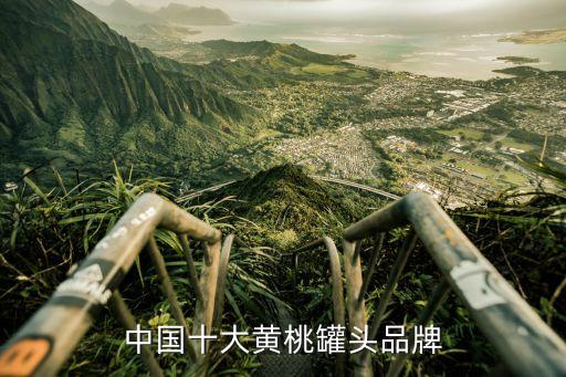 中國(guó)十大黃桃罐頭品牌