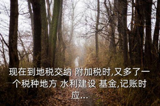 現(xiàn)在到地稅交納 附加稅時,又多了一個稅種地方 水利建設 基金,記賬時應...