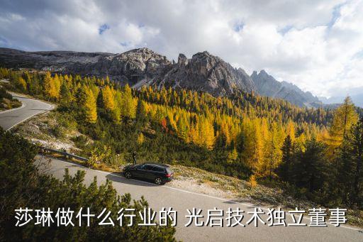 莎琳做什么行業(yè)的 光啟技術獨立董事