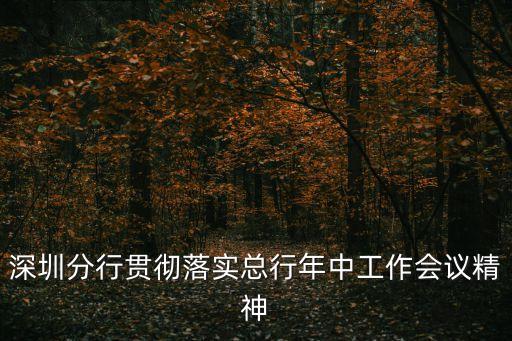 深圳分行貫徹落實(shí)總行年中工作會(huì)議精神