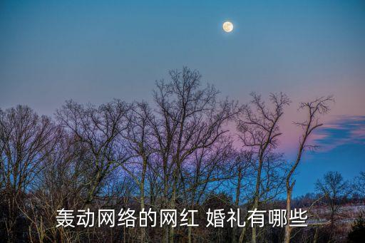 轟動(dòng)網(wǎng)絡(luò)的網(wǎng)紅 婚禮有哪些