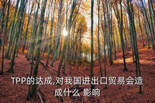 TPP的達(dá)成,對(duì)我國進(jìn)出口貿(mào)易會(huì)造成什么 影響