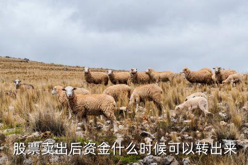 股票賣出后資金什么時(shí)候可以轉(zhuǎn)出來(lái)