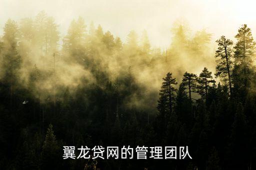 翼龍貸網(wǎng)的管理團隊