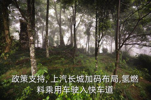 上汽集團(tuán)拓展計(jì)劃