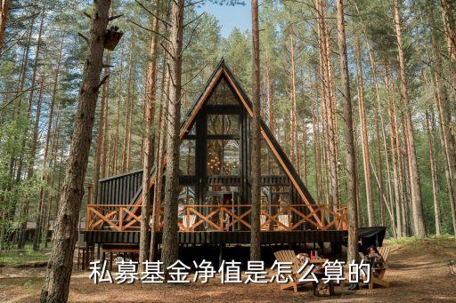  私募基金凈值是怎么算的