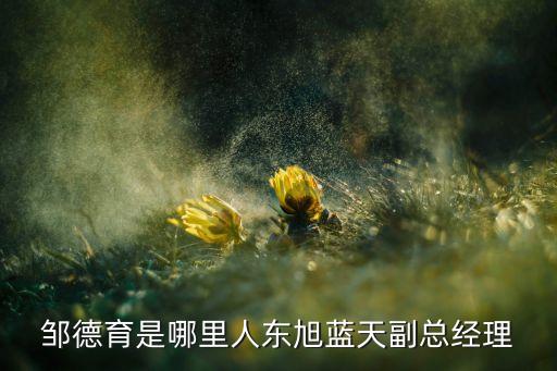 鄒德育是哪里人東旭藍天副總經理