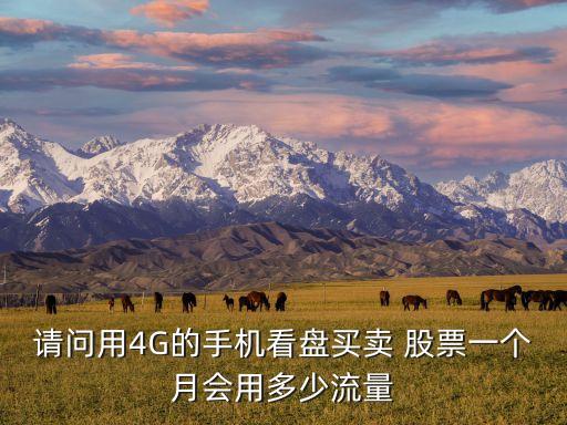 4g網絡相關股票