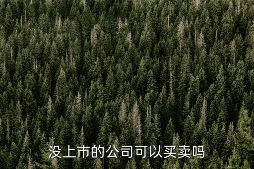 沒(méi)上市的公司可以買賣嗎
