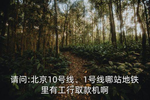 請問:北京10號線、1號線哪站地鐵里有工行取款機(jī)啊