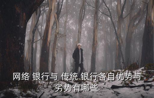網(wǎng)絡(luò) 銀行與 傳統(tǒng) 銀行各自優(yōu)勢與劣勢有哪些