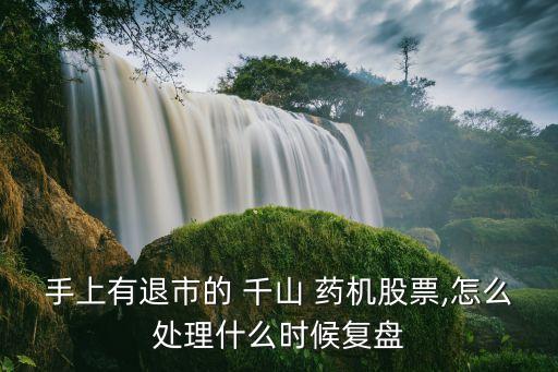 手上有退市的 千山 藥機(jī)股票,怎么處理什么時(shí)候復(fù)盤