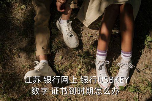  江蘇 銀行網(wǎng)上 銀行USBKEY數(shù)字 證書(shū)到時(shí)期怎么辦