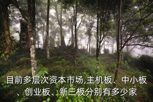 目前多層次資本市場,主機(jī)板、中小板、創(chuàng)業(yè)板、新三板分別有多少家