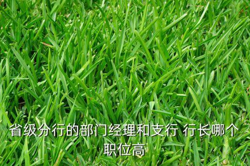 省級分行的部門經(jīng)理和支行 行長哪個職位高