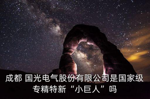 成都 國(guó)光電氣股份有限公司是國(guó)家級(jí)專精特新“小巨人”嗎