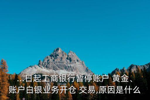 ...日起工商銀行暫停賬戶 黃金、賬戶白銀業(yè)務(wù)開倉 交易,原因是什么