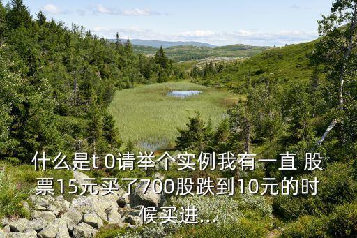 什么是t 0請(qǐng)舉個(gè)實(shí)例我有一直 股票15元買了700股跌到10元的時(shí)候買進(jìn)...