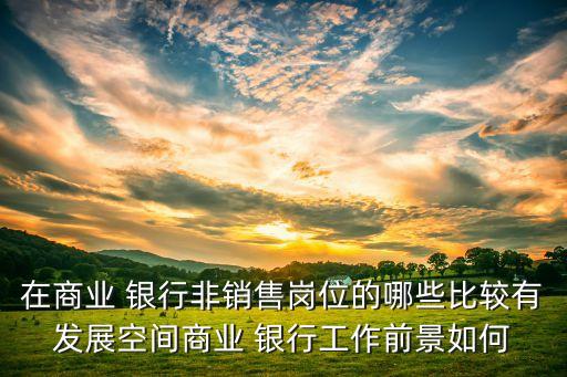 在商業(yè) 銀行非銷(xiāo)售崗位的哪些比較有發(fā)展空間商業(yè) 銀行工作前景如何