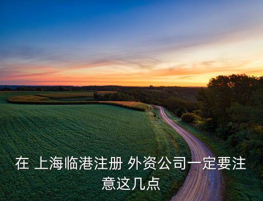 在 上海臨港注冊(cè) 外資公司一定要注意這幾點(diǎn)