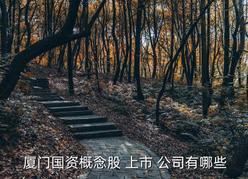  廈門國資概念股 上市 公司有哪些